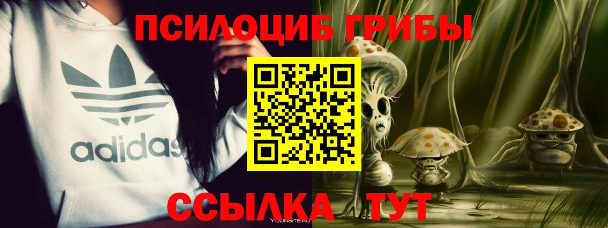 Галлюциногенные грибы Magic Shrooms Азнакаево