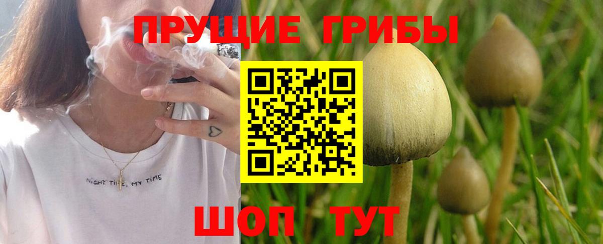 Азнакаево  Галлюциногенные грибы мухоморы  Вход с VPN 